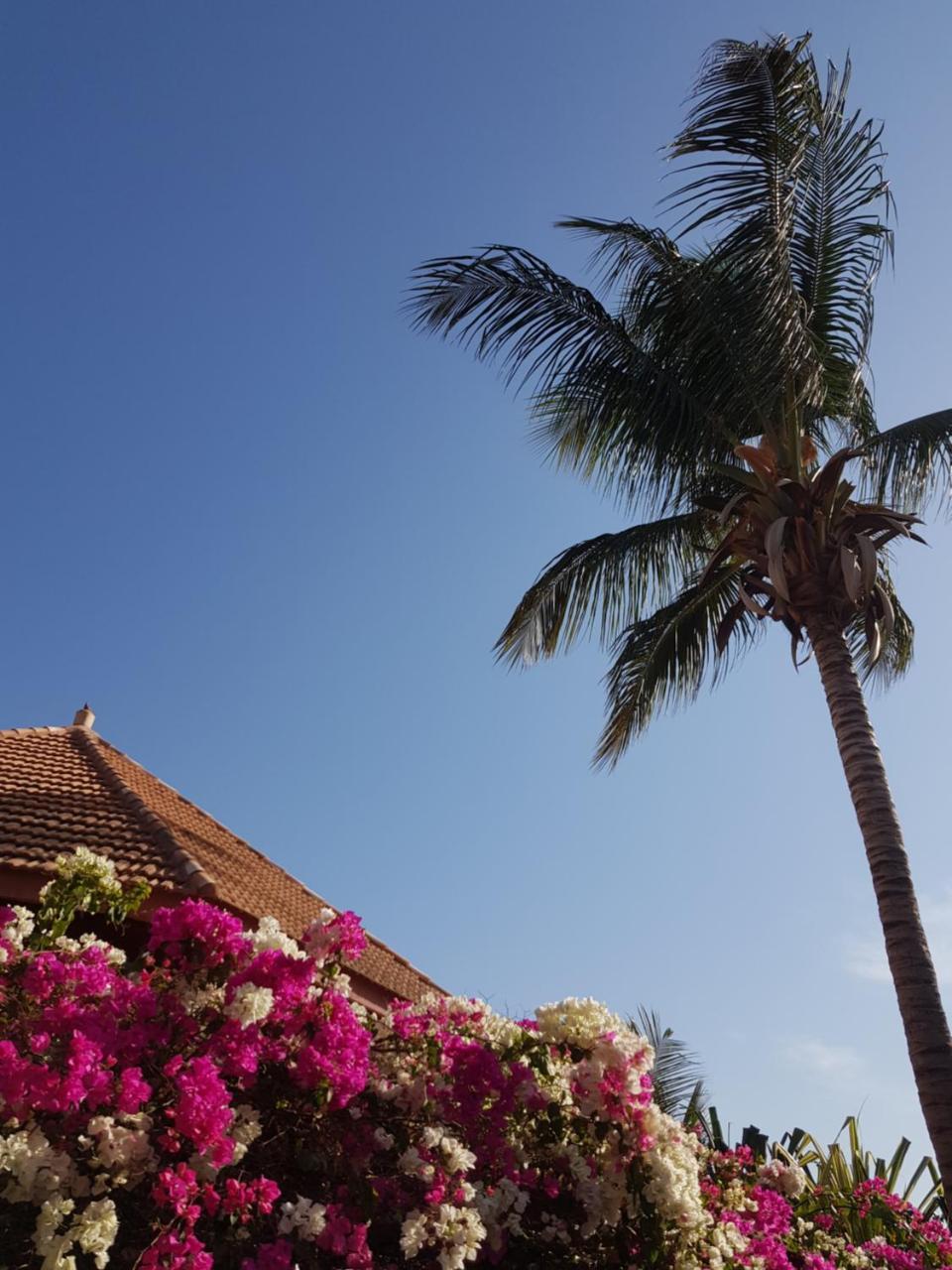 Villa Met Prive Zwembad In Residence Safari Village Saly Portudal Exterior photo